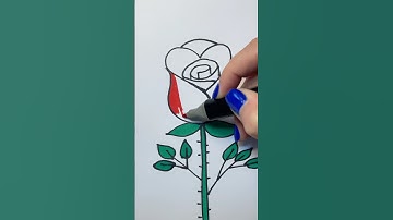 How to draw a rose simple 🌹 Easy drawing step by step