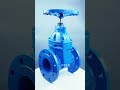 FOLS – Dissecting the Gate Valve: Explore the Inner Workings of Precision Engineering! 🔧💡