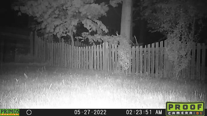 Coon cam