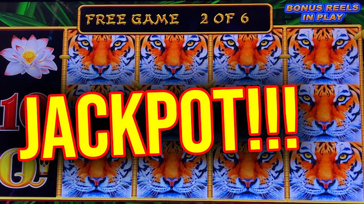 SARAH HITS A JACKPOT HANDPAY!!! Lightning Link Slo...