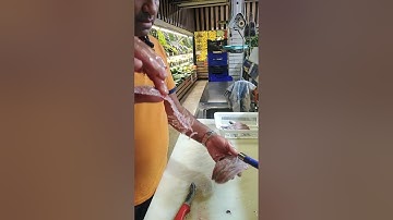 sardalya nasıl temizlenir ve kılcığı cıkar