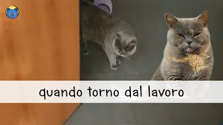 Quando Torno A Casa Dal Lavoro