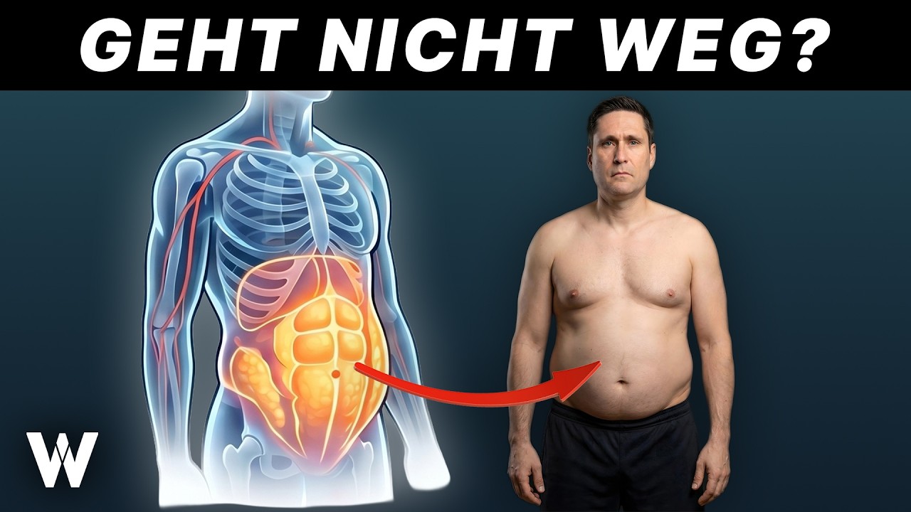 Thumbnail: Bauchfett weg bis zum Sommer