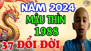 Tử Vi Năm 2024 Tuổi MẬU THÌN 1988 Hé Lộ: Đón Lộc Tránh Họa, ĐỔI ĐỜI GIÀU Ú Ụ | PQPT