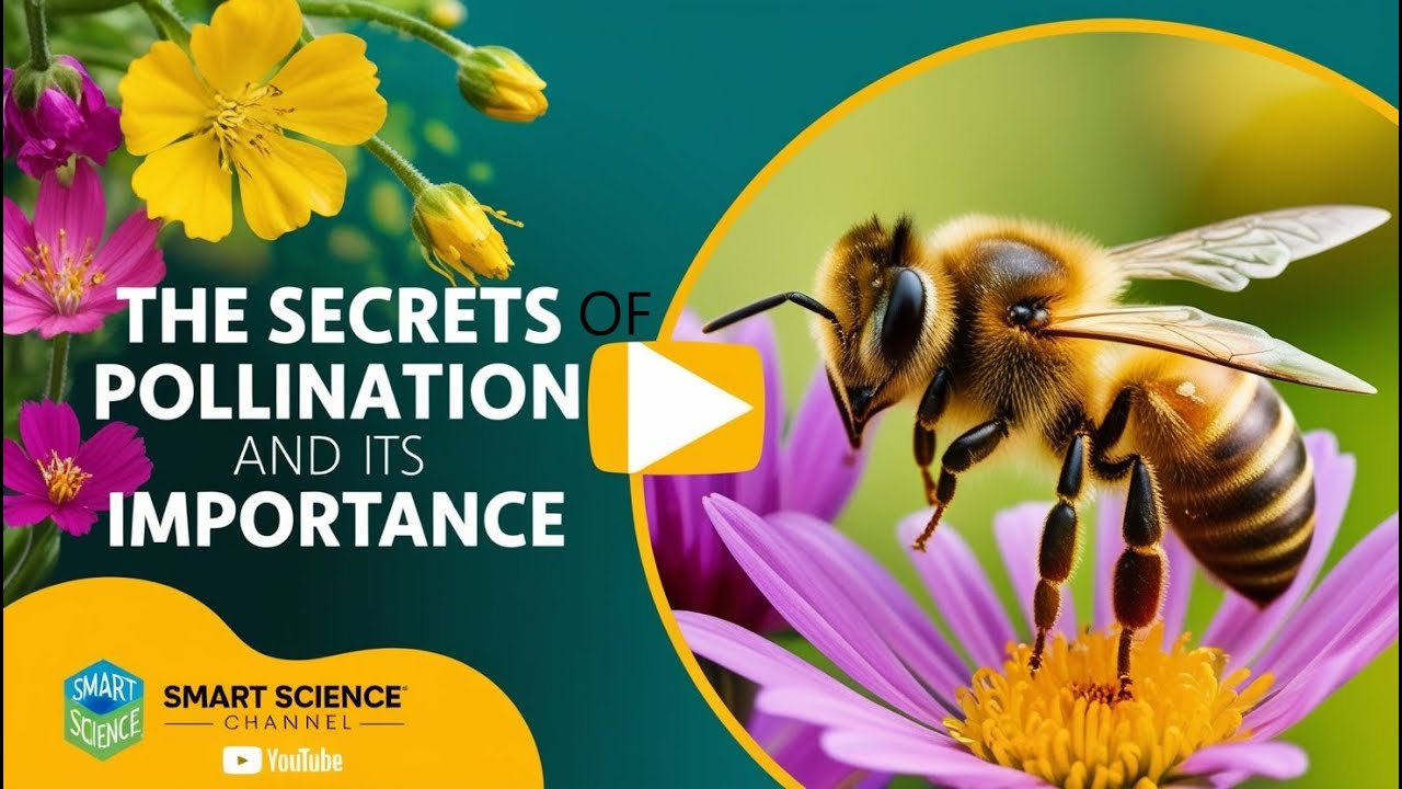 Humman Pollination The Secrets of Pollination and Its Importance. - YouTube