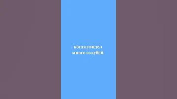 КОНДА УВИДЕЛ МНОГО ГОЛУБЕЙ