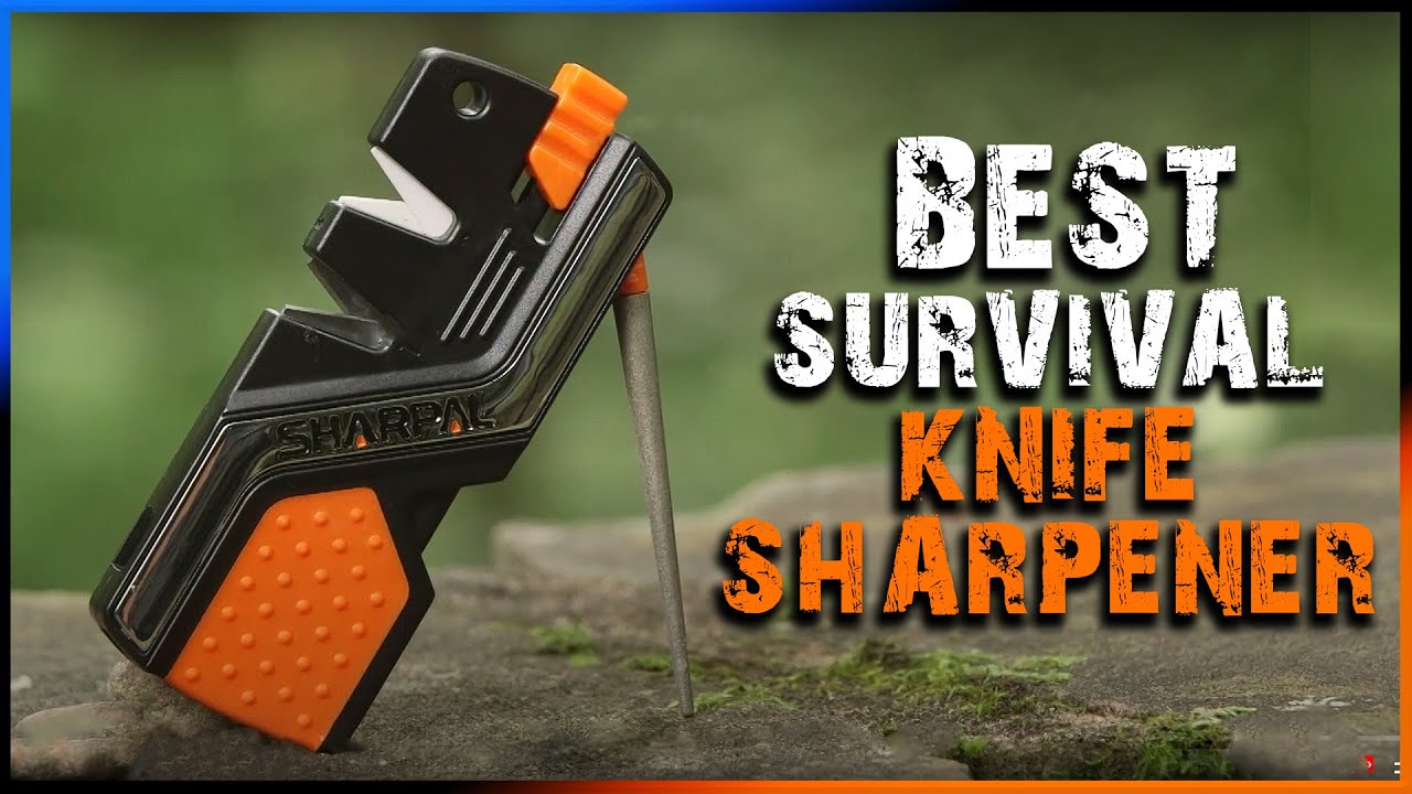 BEST Survival Knife Sharpener (2023) 