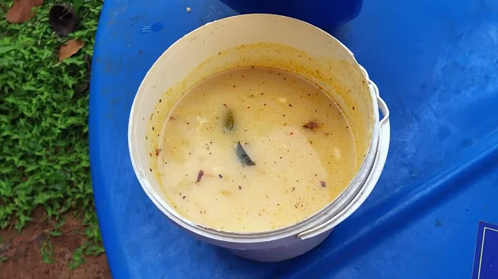 Biogas Plants: A Key to Sustainable Energy | World Sustainable Day 2025 | Video | Kerala |India