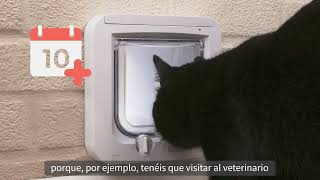 Gatera SureFlap™ con lector de microchip by Sure Petcare 533 views 5 months ago 1 minute, 12 seconds