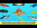 En whales live under the wash basin 15 39min cartoons for kids whales adventurecocostoy