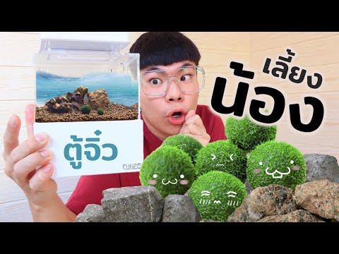 ตู้ปลาจิ๋ว…สมาชิกใหม่ตัวกลมสองพี่น้อง??