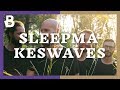 Capture de la vidéo Sleepmakeswaves Live | Bergmal Festival 2017