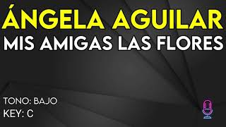 Angela Aguilar - Mis Amigas Las Flores - Karaoke Instrumental - Bajo