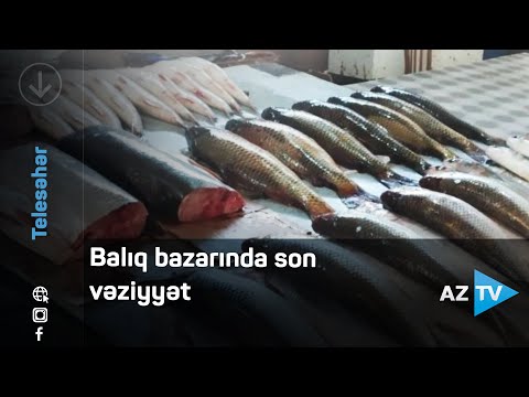 Balıq bazarında qiymətlər necədir? - REPORTAJ