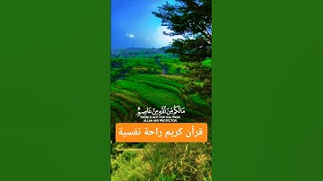 تلاوة خاشعة قرأن كريم راحة نفسية بصوت جميل جدا ومؤثر #قران_كريم #قرآن #elmulquranعلم #المصحف