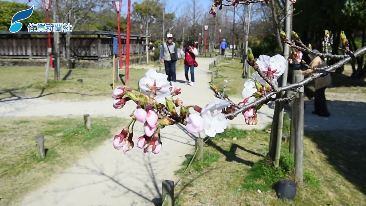 佐賀 地方 気象台