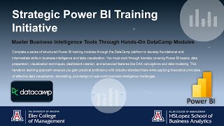MIS 561 Data Viz 5 - Strategic Power BI Training Initiative