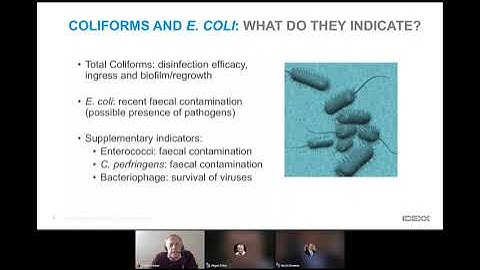 Accurate Monitoring of Coliforms and E. coli in the Drinking Water Distribution System Webinar