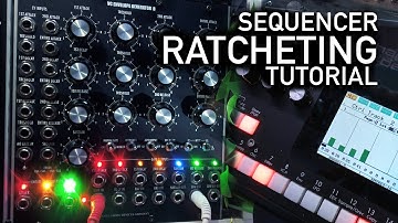 Sequencer Ratcheting with the Marienberg VC Envelope Generator B (ADSR B) // 5U Modular Synth #TTNM