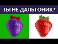 ТЕСТ НА ЗРЕНИЕ. Ты, случайно, не дальтоник? ПРОВЕРЬ СЕБЯ! БУДЬ В КУРСЕ TV