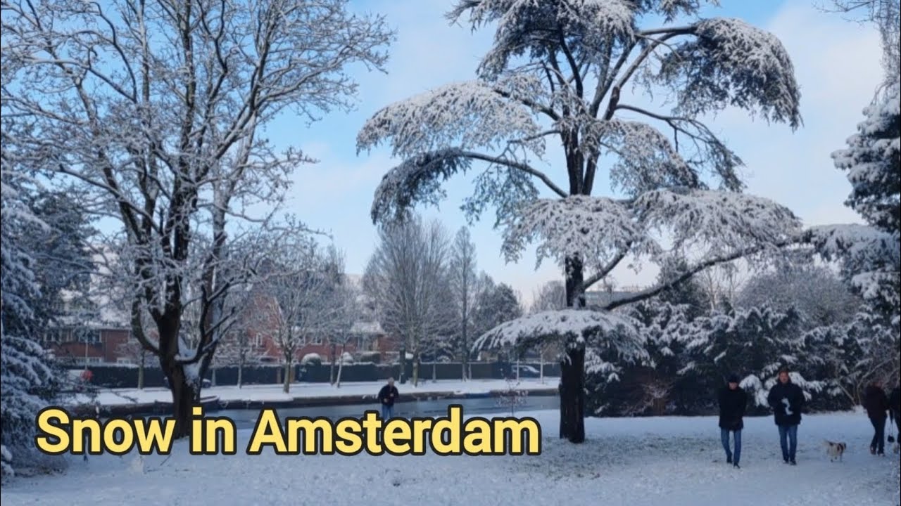 Snow in Amsterdam. First winter walk in the park ❄