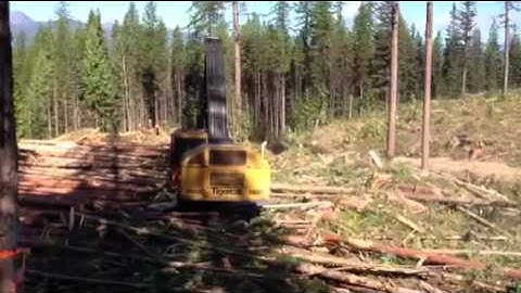 Tigercat H855C with Waratah 623c