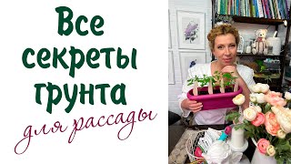 Все секреты грунта для рассады