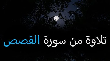 تلاوة من سورة القصص من صلاة الفجر