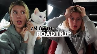 hitchhiking across America with a cat