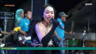 Ciinan Bana - Viki Vida - ADELIA MUSIC LIVE IN GERBONG