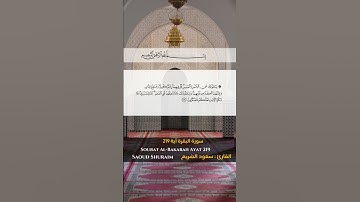 سورة البقرة آية 219  Sourah al Bakarah Ayat 219 || #quran