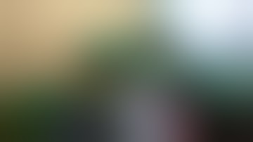 Day1 of 12 and 12 installing scrog net over G 13