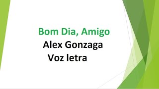 Bom Dia, Amigo - Alex Gonzaga - voz e letra - YouTube