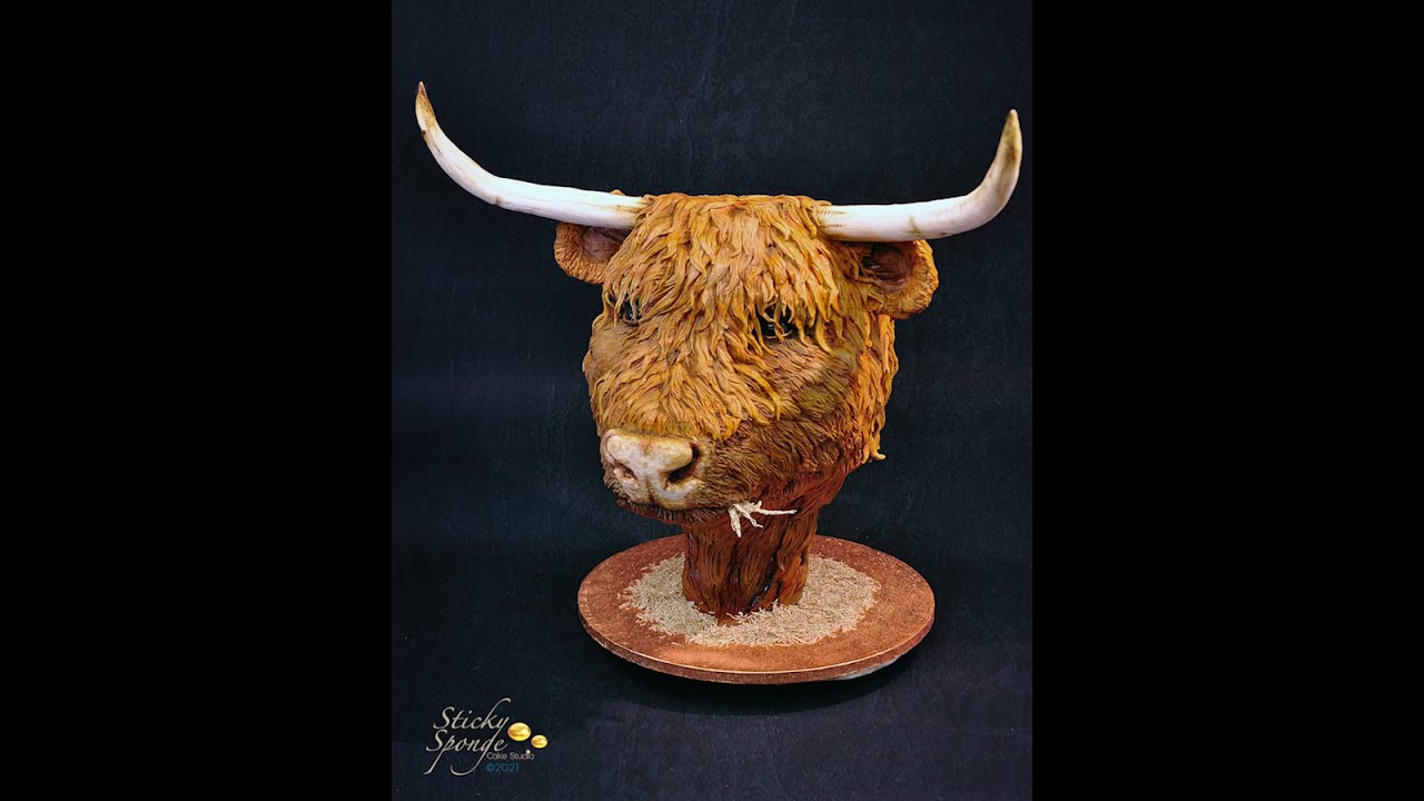 Highland Cow Cake YouTube