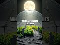 Building the First Moon Base: A Giant Leap for Space Farming