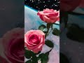 Jesus B. - Don't Dwell (Prod. Jesus B.) (Official Audio)