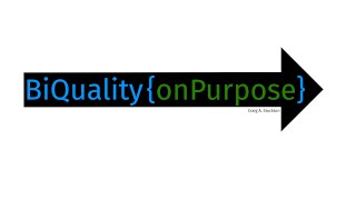 ON PURPOSE: Built-in Quality - 'Functional Test Planning' (refinement step #4)