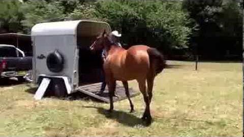 This is a float loading with a horse that pull