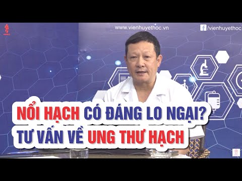 Video: Sử Dụng Kháng Thể đơn Dòng để điều Trị Ung Thư Hạch ở Chó