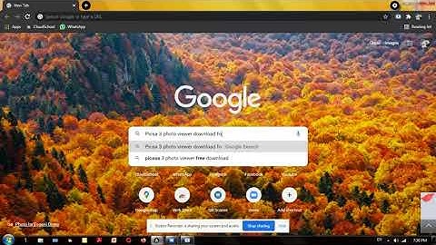 How to download Picasa 3 photo viewer to windows 7 laptop or PC
