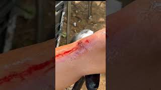 Lo Logramos, Pintamos Toda La Casa