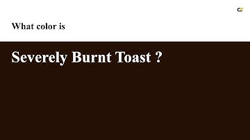 Severely Burnt Toast color #241005 hex color - Brown color - Cool color 241005