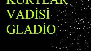 Kurtlar Vadisi Serisi Hakkında 14 İlginç Bilgi
