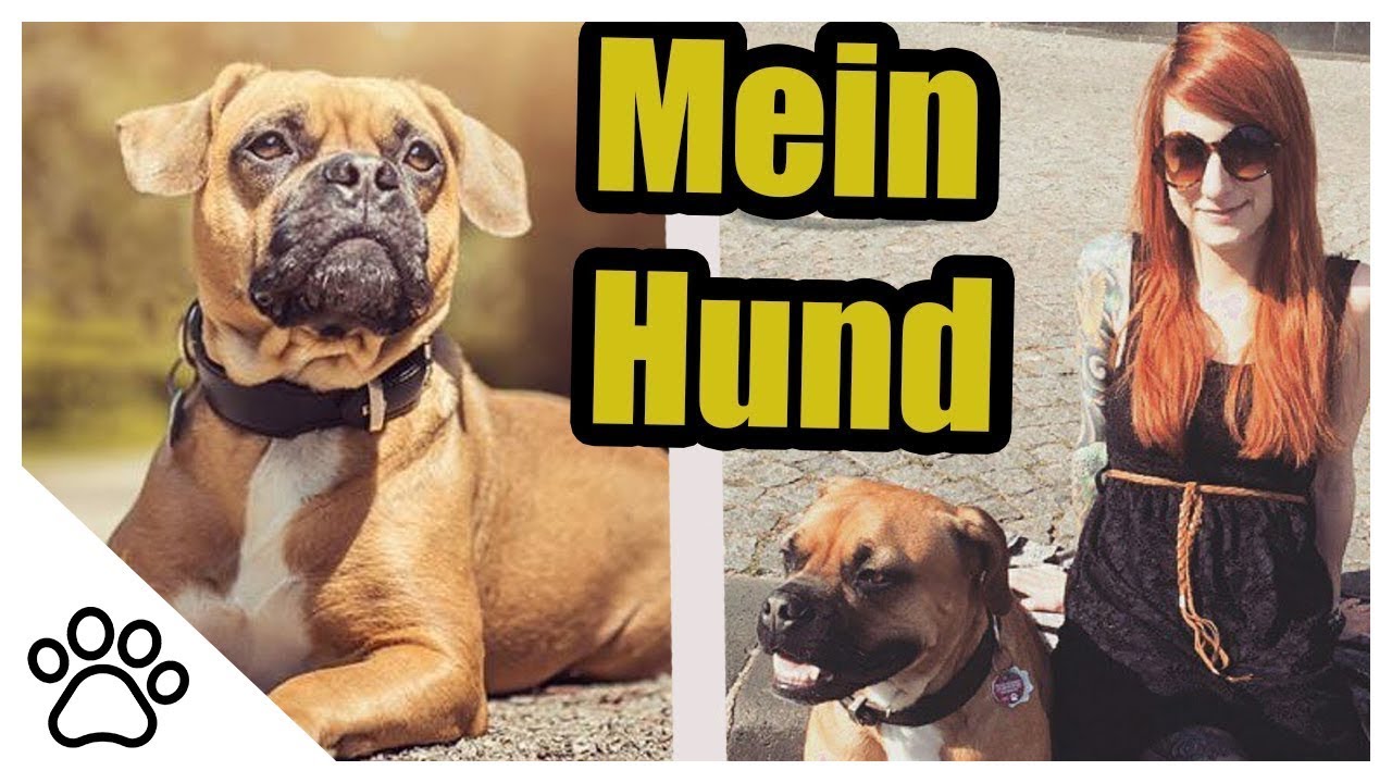 Mein Leben mit Emma // Dog - Vlog