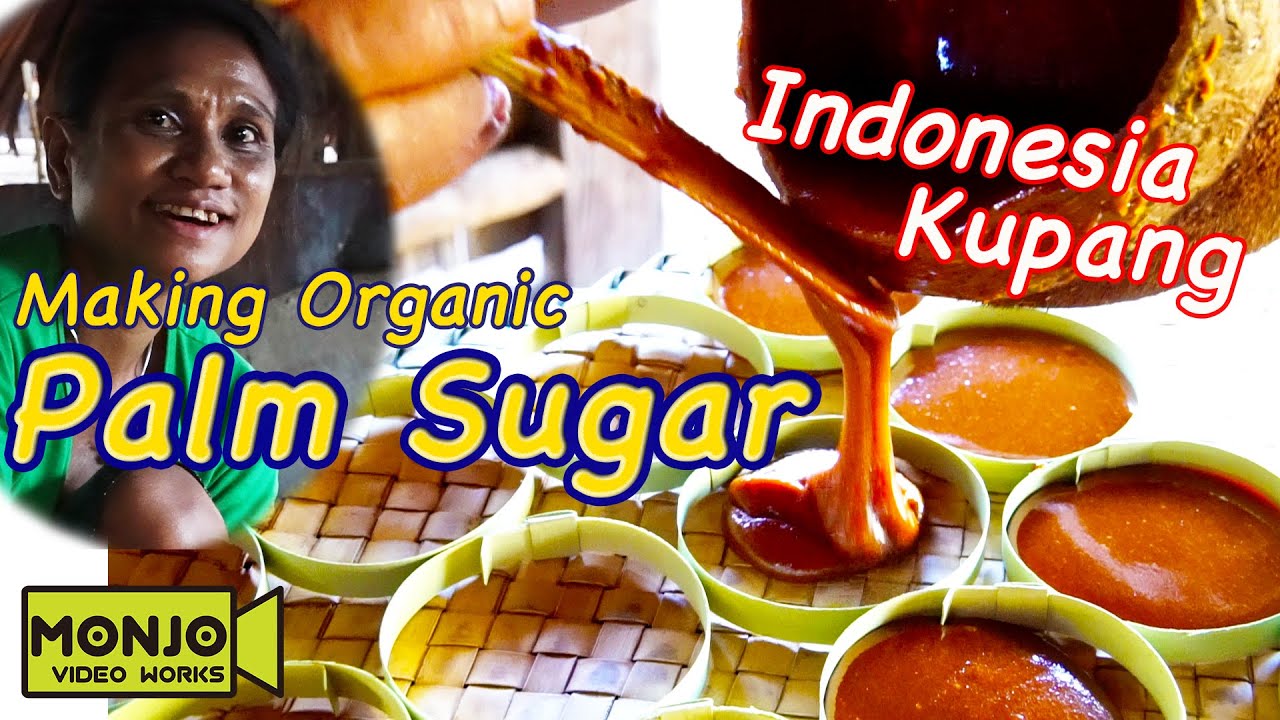 Organic Palm Sugar (Gula Merah) from Indonesia, Kupang YouTube