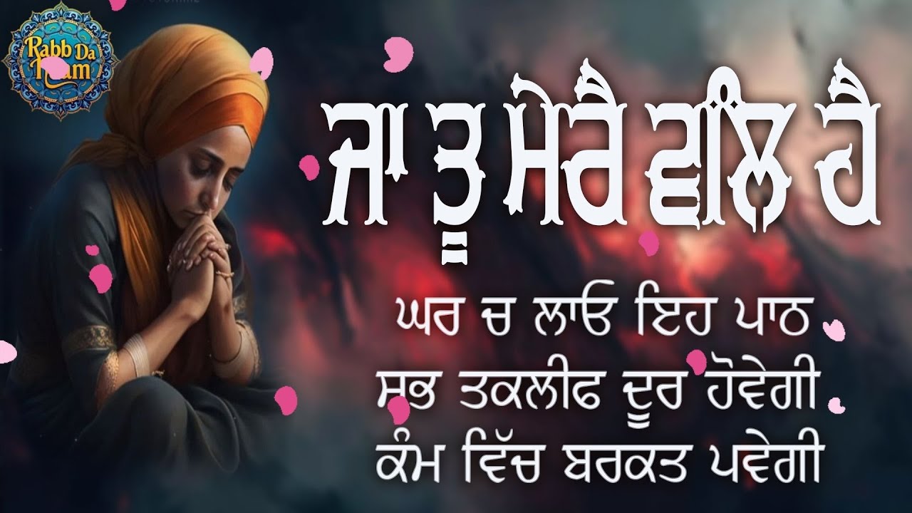 ਜਾ ਤੂੰ ਮੇਰੇ ਵਲਿ ਹੈ Ja Tu Mere Vall Hai Rabb Da Naam Youtube 