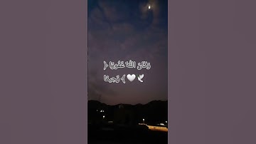 #اكسبلور #تلاوات #المصحف #quran #لايك #الرحمن #ترند #تيك_توك