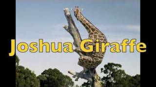 Video voorbeeld van "Joshua Giraffe (The Music Video)"