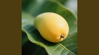 JUS MANGGA