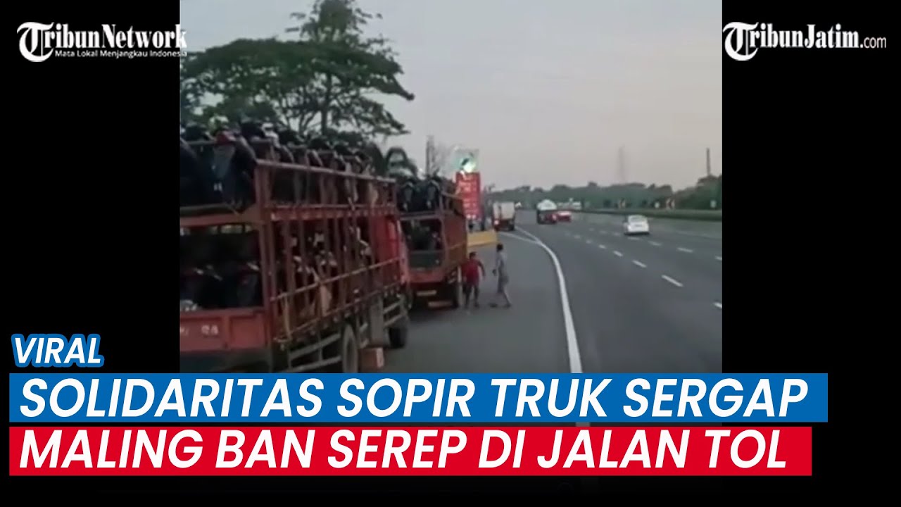 Viral Solidaritas Sopir Truk Gagalkan Maling Ban di Tengah Jalan Tol